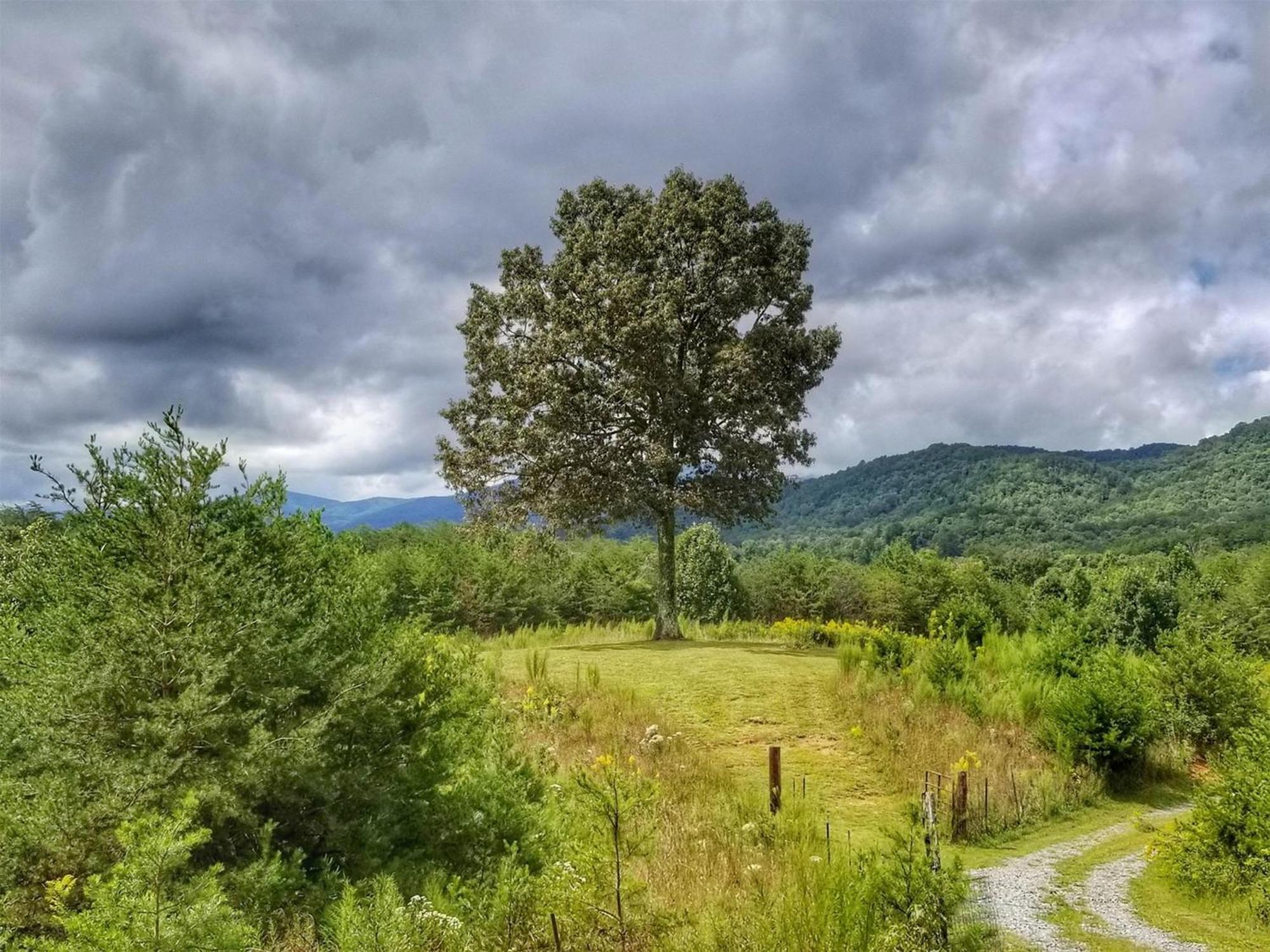 Eula Mae- Ocoee River Area Copperhill Dış mekan fotoğraf